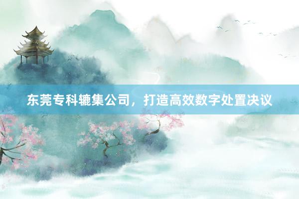 东莞专科辘集公司，打造高效数字处置决议