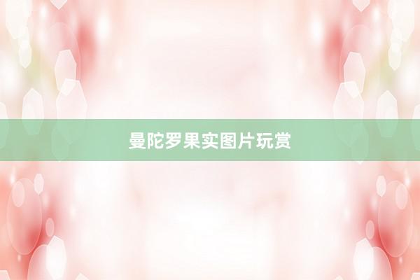 曼陀罗果实图片玩赏