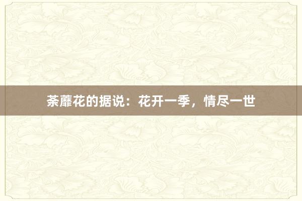 荼蘼花的据说：花开一季，情尽一世