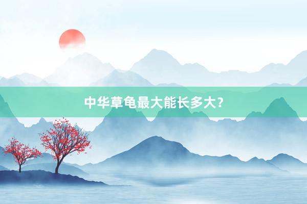 中华草龟最大能长多大？