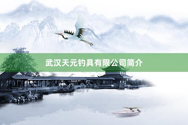 武汉天元钓具有限公司简介
